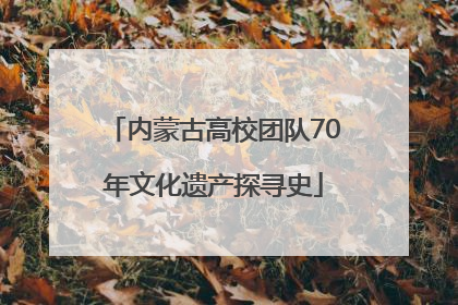 内蒙古高校团队70年文化遗产探寻史