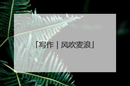 写作｜风吹麦浪