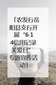 农发行岳阳县支行开展“6·14信用记录关爱日” 专题宣传活动