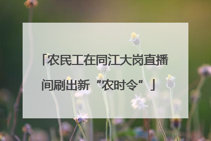 农民工在同江大岗直播间刷出新“农时令”