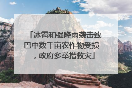 冰雹和强降雨袭击致巴中数千亩农作物受损，政府多举措救灾
