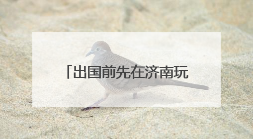出国前先在济南玩一圈，济南机场首迎国际中转旅游团