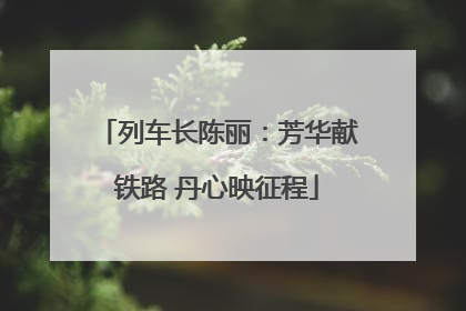 列车长陈丽：芳华献铁路 丹心映征程