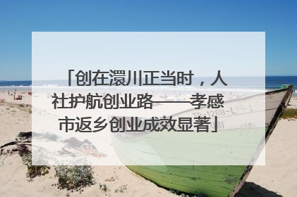 创在澴川正当时，人社护航创业路——孝感市返乡创业成效显著
