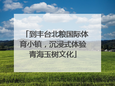 到丰台北粮国际体育小镇，沉浸式体验青海玉树文化