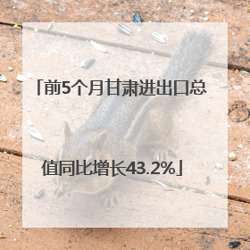 前5个月甘肃进出口总值同比增长43.2%