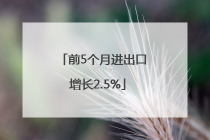 前5个月进出口增长2.5%