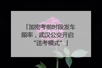 加密考前时段发车频率，武汉公交开启“送考模式”
