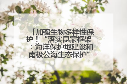 加强生物多样性保护！“落实昆蒙框架：海洋保护地建设和南极公海生态保护”主题论坛将举办