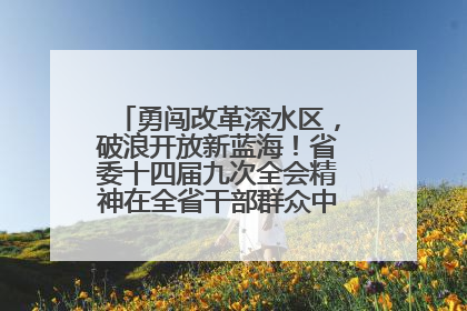 勇闯改革深水区，破浪开放新蓝海！省委十四届九次全会精神在全省干部群众中引发热烈反响