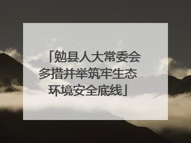 勉县人大常委会多措并举筑牢生态环境安全底线