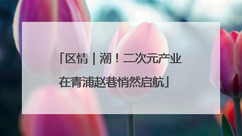 区情｜潮！二次元产业在青浦赵巷悄然启航