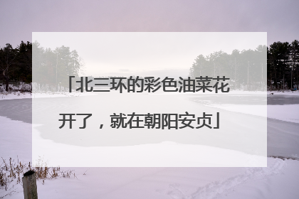 北三环的彩色油菜花开了，就在朝阳安贞