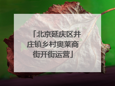 北京延庆区井庄镇乡村奥莱商街开街运营