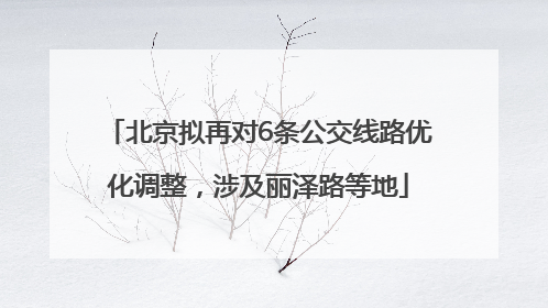 北京拟再对6条公交线路优化调整，涉及丽泽路等地