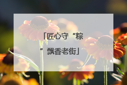 匠心守“粽”飘香老街