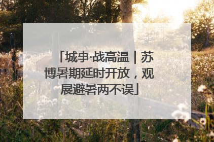 城事·战高温｜苏博暑期延时开放，观展避暑两不误