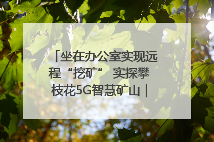 坐在办公室实现远程“挖矿” 实探攀枝花5G智慧矿山｜网络名人四川行