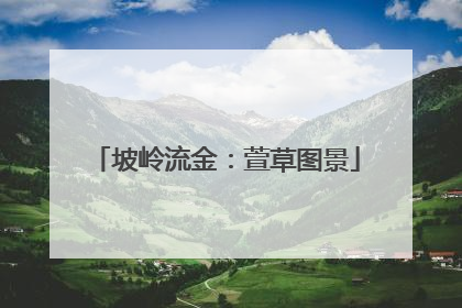 坡岭流金：萱草图景