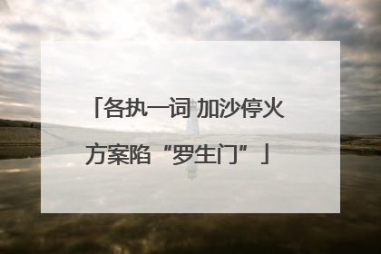 各执一词 加沙停火方案陷“罗生门”