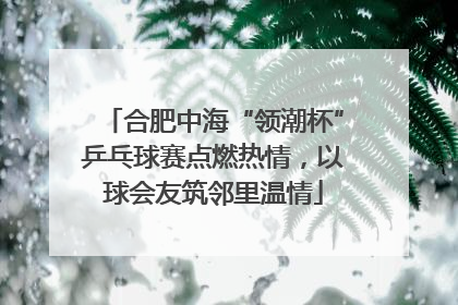 合肥中海“领潮杯”乒乓球赛点燃热情，以球会友筑邻里温情