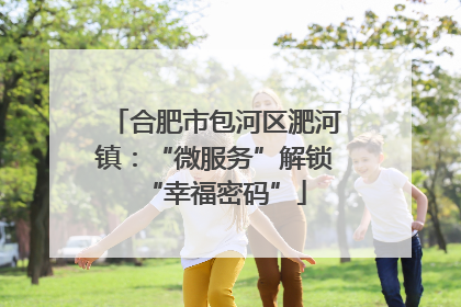 合肥市包河区淝河镇：“微服务”解锁“幸福密码”