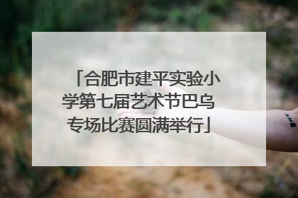 合肥市建平实验小学第七届艺术节巴乌专场比赛圆满举行