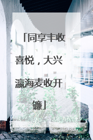 同享丰收喜悦，大兴瀛海麦收开镰