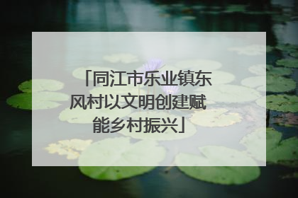 同江市乐业镇东风村以文明创建赋能乡村振兴