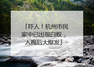 吓人！杭州市民家中已出现白蚁，入梅后大爆发