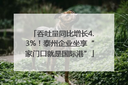 吞吐量同比增长4.3%！泰州企业坐享“家门口就是国际港”
