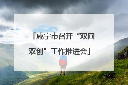 咸宁市召开“双回双创”工作推进会