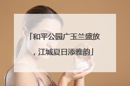 和平公园广玉兰盛放，江城夏日添雅韵
