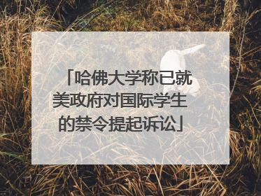 哈佛大学称已就美政府对国际学生的禁令提起诉讼