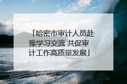 哈密市审计人员赴豫学习交流 共促审计工作高质量发展