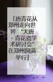 唐青花从郑州走向世界 “大唐・青花瓷学术研讨会”在郑州圆满举行