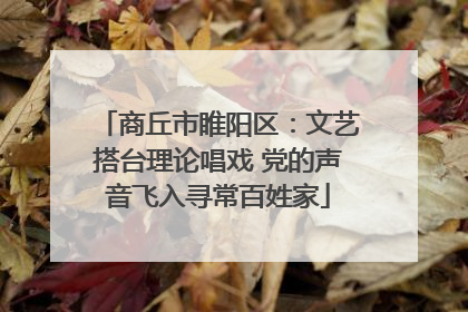 商丘市睢阳区：文艺搭台理论唱戏 党的声音飞入寻常百姓家