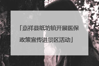 嘉祥县纸坊镇开展医保政策宣传进景区活动