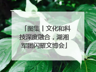 图集丨文化和科技深度融合，湖湘军团闪耀文博会
