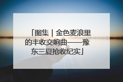 图集｜金色麦浪里的丰收交响曲——豫东三夏抢收纪实