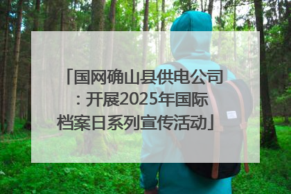 国网确山县供电公司：开展2025年国际档案日系列宣传活动