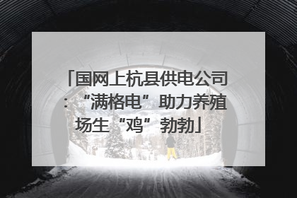 国网上杭县供电公司：“满格电”助力养殖场生“鸡”勃勃