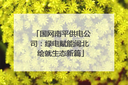 国网南平供电公司：绿电赋能闽北 绘就生态新篇