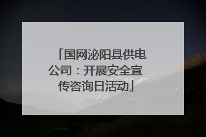 国网泌阳县供电公司：开展安全宣传咨询日活动