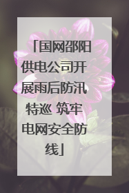 国网邵阳供电公司开展雨后防汛特巡 筑牢电网安全防线