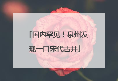 国内罕见！泉州发现一口宋代古井