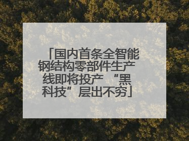 国内首条全智能钢结构零部件生产线即将投产 “黑科技”层出不穷