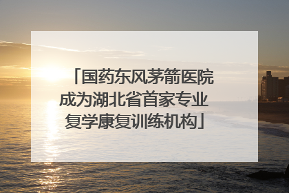 国药东风茅箭医院成为湖北省首家专业复学康复训练机构
