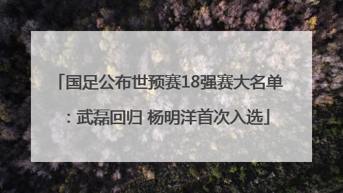 国足公布世预赛18强赛大名单：武磊回归 杨明洋首次入选