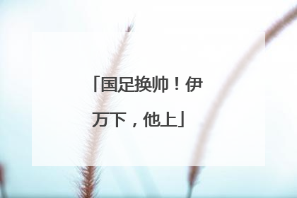 国足换帅！伊万下，他上
